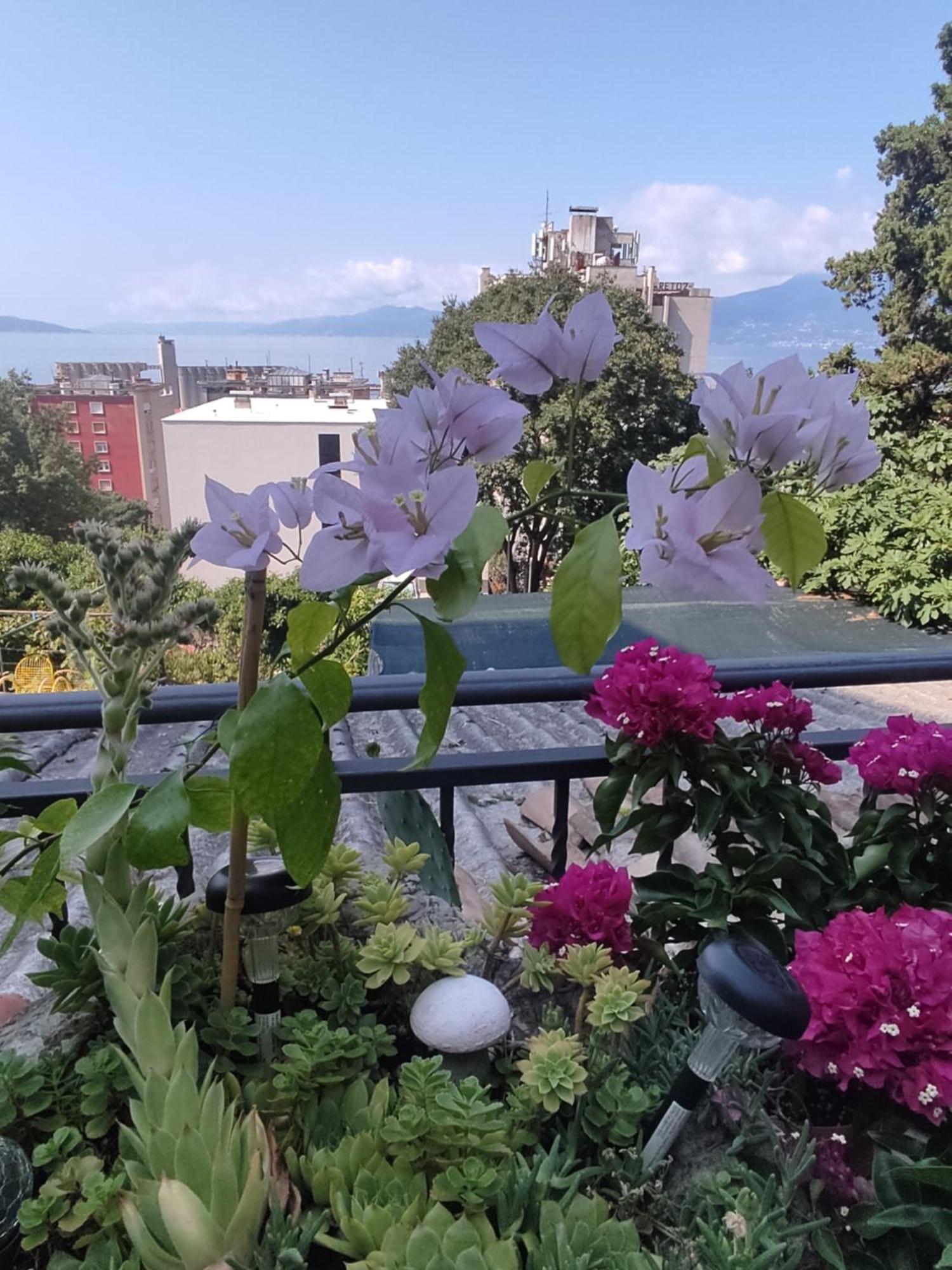 Ferienwohnung Apartman Bella Vista Rijeka Exterior foto