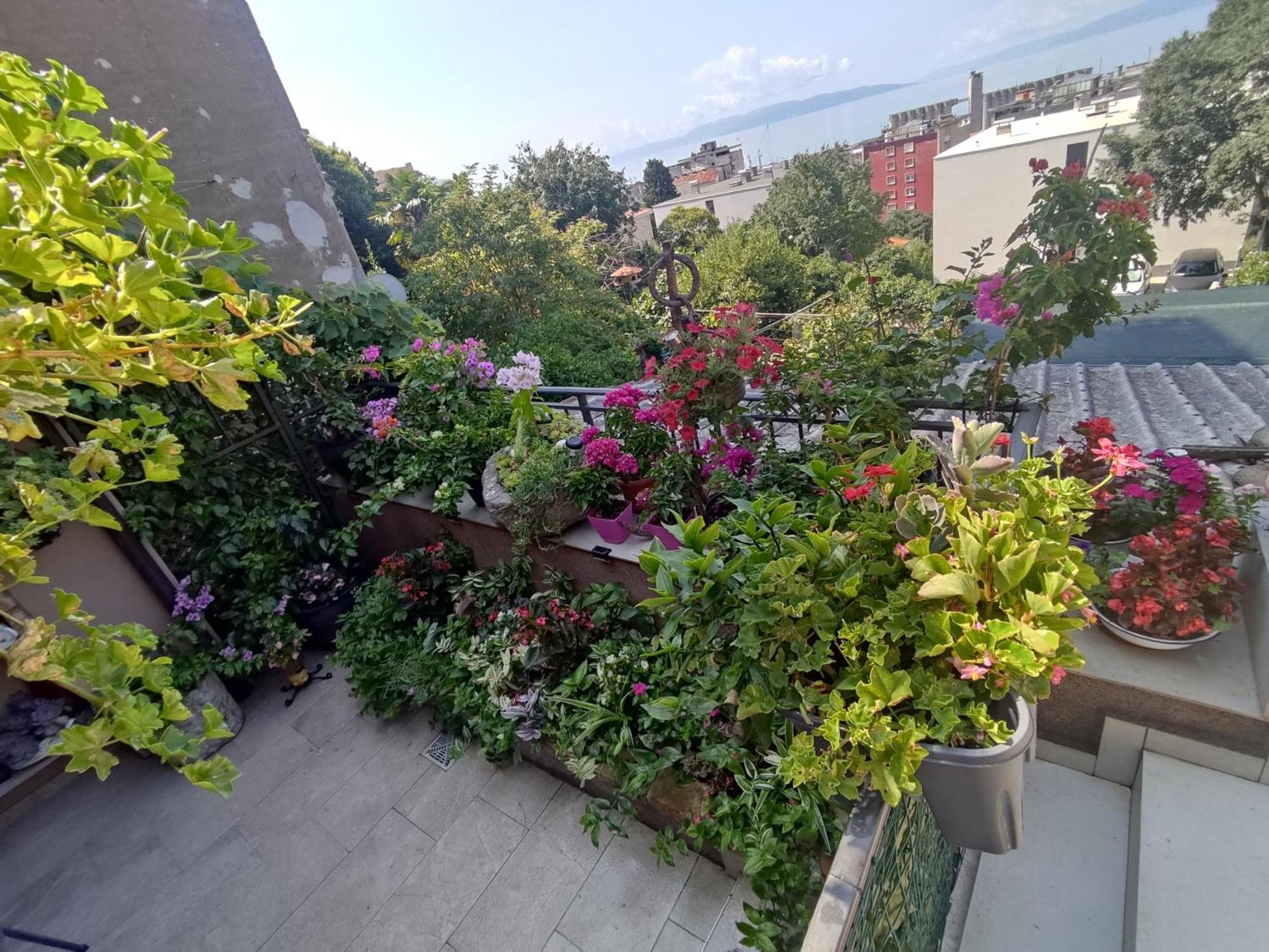 Ferienwohnung Apartman Bella Vista Rijeka Exterior foto